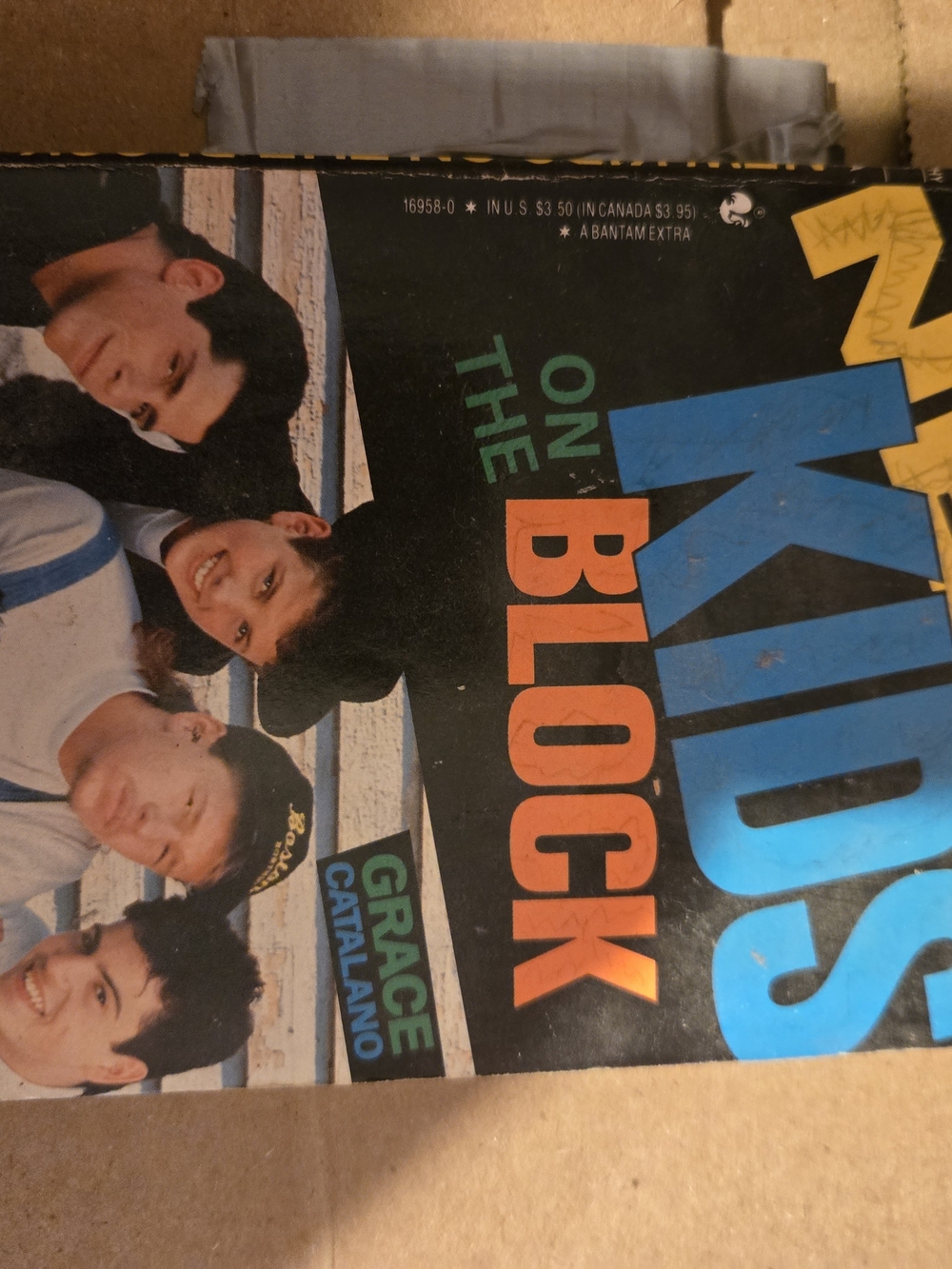 New Kids On The Blobk  Book-Black and Blue